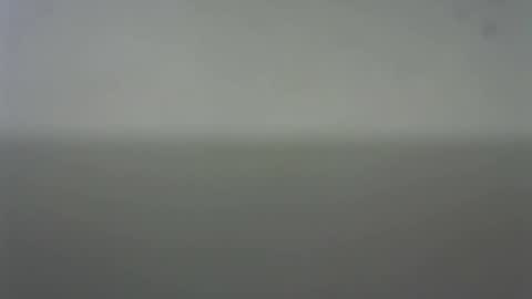 Snapshot of eider122 chatting on February 22, 2026, 3:51 am EIder online show from February 22, 2026, 3:51 am