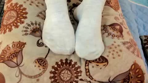 Snapshot of eilin_clio chatting on July 29, 2026, 7:12 pm Eilin online show from July 29, 2026, 7:12 pm