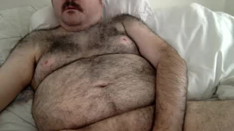 Snapshot of elago chatting on June 19, 2026, 6:45 pm elabear online show from June 19, 2026, 6:45 pm