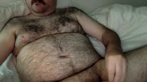 Snapshot of elago chatting on June 22, 2026, 5:26 am elabear online show from June 22, 2026, 5:26 am
