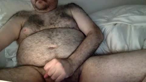 Snapshot of elago chatting on July 29, 2026, 4:54 am elabear online show from July 29, 2026, 4:54 am