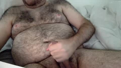 Snapshot of elago chatting on August 2, 2026, 4:16 pm elabear online show from August 2, 2026, 4:16 pm
