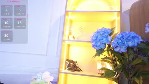 Elasummeer online show from November 13, 2025, 11:31 am