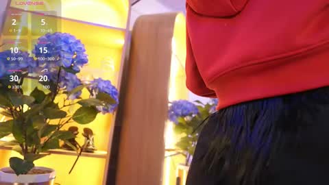 Elasummeer online show from January 12, 2026, 11:37 am