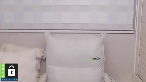 eleanore online show from December 15, 2025, 8:51 am