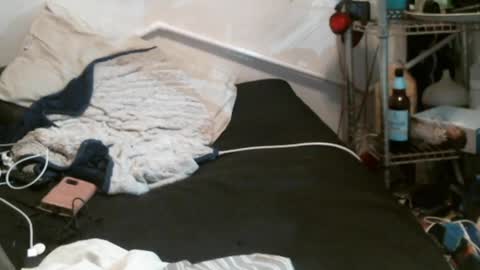 Snapshot of eleventhphoenix chatting on December 31, 2024, 8:56 pm TheEleventhPhoenix online show from December 31, 2024, 8:56 pm