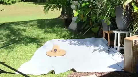 eliberator online show from September 21, 2025, 5:03 pm