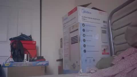 Snapshot of eliexavier123456789 chatting on December 23, 2024, 8:36 pm eliexavier123456789 online show from December 23, 2024, 8:36 pm