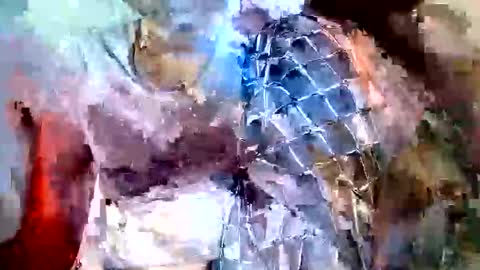 elina_roy03 online show from November 6, 2025, 7:31 am