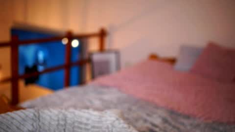 Sunflower  online show from January 16, 2026, 3:16 pm