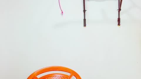 Diana online show from December 9, 2024, 4:47 pm