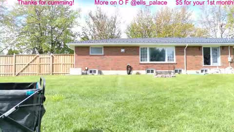Snapshot of ells_palace chatting on May 12, 2026, 1:52 pm Ella Bella Bo Bella online show from May 12, 2026, 1:52 pm