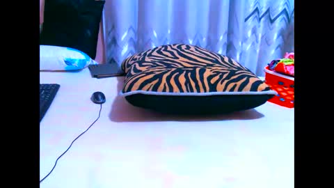 Snapshot of elodielynn chatting on May 19, 2026, 4:41 am elodielynn online show from May 19, 2026, 4:41 am
