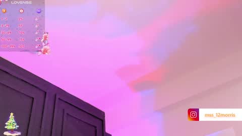 Snapshot of elsiemorriis chatting on January 1, 2025, 3:46 pm ELSIE online show from January 1, 2025, 3:46 pm