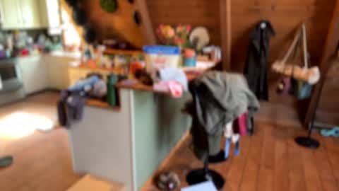 Snapshot of emersoncane chatting on November 11, 2025, 5:24 pm popalottapuss - puddin tits - daddy - buttercup - bonfire - Mrs. Fuck Yea - hibeams - honey buns - online show from November 11, 2025, 5:24 pm