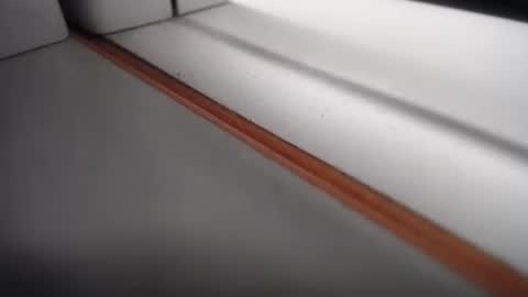 emily hoot1 online show from February 24, 2025, 10:37 am