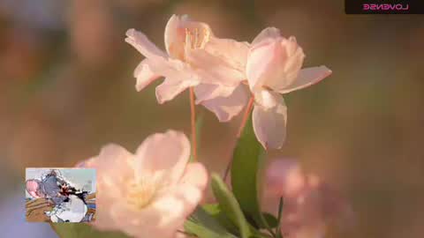 emily hoot1 online show from November 20, 2025, 9:42 am