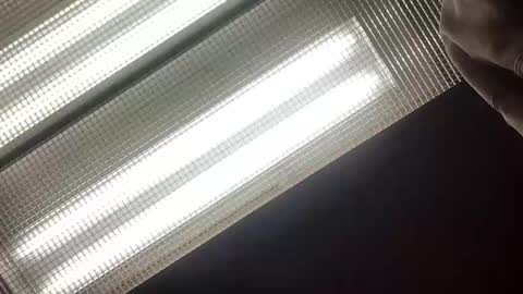 emilyclear online show from May 14, 2026, 8:21 am