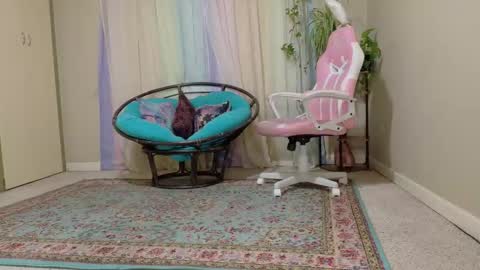 emily haze online show from November 8, 2025, 5:56 pm