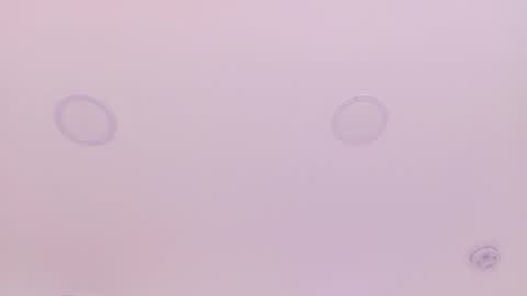 Snapshot of emilyy_bank chatting on March 29, 2026, 7:36 pm Emily Bank online show from March 29, 2026, 7:36 pm