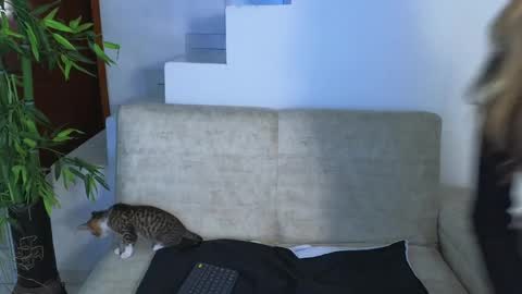 Emma Blue  modelo independiente online show from October 28, 2025, 4:05 am