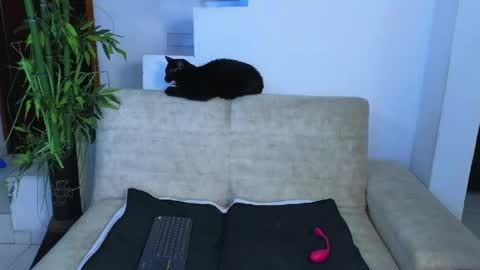 Snapshot of emma_blue_ chatting on April 23, 2026, 3:08 am Emma Blue modelo independiente online show from April 23, 2026, 3:08 am