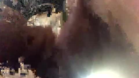 envegas89169 online show from November 9, 2025, 10:13 am