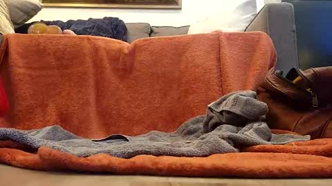 Snapshot of ernestdom123 chatting on January 8, 2025, 12:38 am Hmmmhmmmm online show from January 8, 2025, 12:38 am