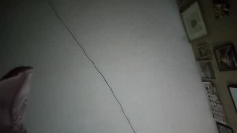 Snapshot of ernestomaravilla141 chatting on February 17, 2026, 7:49 am Ernesto online show from February 17, 2026, 7:49 am