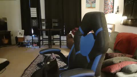 EroticSiren2 online show from February 5, 2025, 9:18 pm