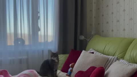 Snapshot of estella_elwood chatting on February 3, 2026, 6:22 am Estella online show from February 3, 2026, 6:22 am