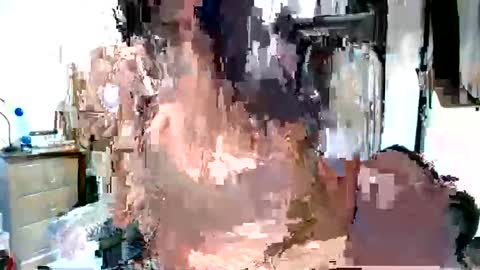 EVA65 online show from September 23, 2025, 9:56 am