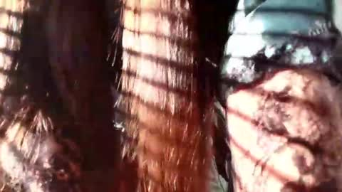 Evaa Depp online show from January 22, 2025, 12:27 pm