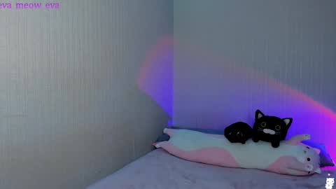 Snapshot of eva_meow_eva chatting on December 21, 2024, 10:19 pm eva_meow_eva online show from December 21, 2024, 10:19 pm