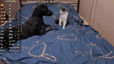 Eva online show from March 3, 2026, 2:01 pm