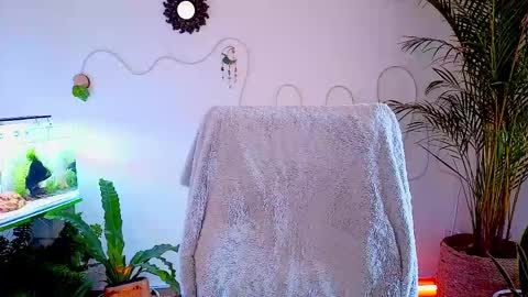 Snapshot of evelyn_chelle chatting on May 2, 2026, 4:56 pm Im Eve or Chelle Next Stream 191224 online show from May 2, 2026, 4:56 pm