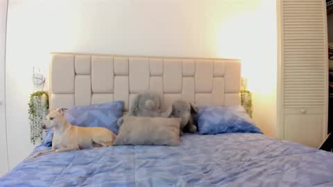 Snapshot of even_scoty chatting on October 25, 2025, 12:23 pm even_scoty online show from October 25, 2025, 12:23 pm