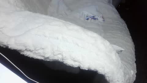 everlasthu online show from February 9, 2025, 1:44 am