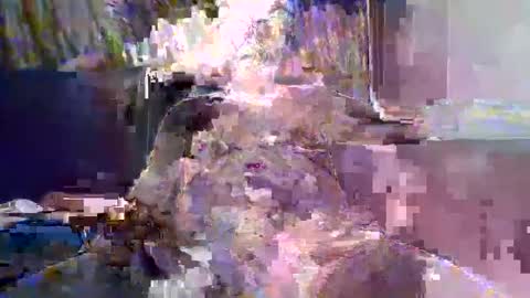 Snapshot of ewaldwillems99 chatting on February 10, 2026, 4:22 pm Naaktloper online show from February 10, 2026, 4:22 pm