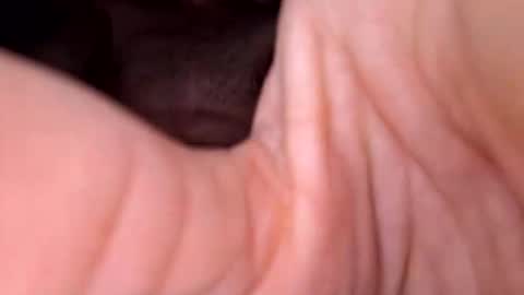 Snapshot of exhibboytoy3 chatting on March 24, 2026, 7:24 am Exhibboytoy3 online show from March 24, 2026, 7:24 am