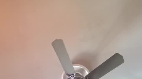 Exoticlexxii online show from April 6, 2026, 1:01 pm