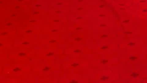 Snapshot of experiencedalana chatting on December 9, 2024, 12:12 am Alana online show from December 9, 2024, 12:12 am