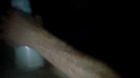 experttreecompany online show from March 24, 2026, 12:32 pm