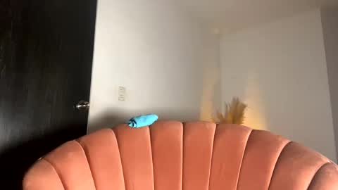 Snapshot of fabianna_laraa chatting on November 15, 2025, 12:13 pm Thianna online show from November 15, 2025, 12:13 pm