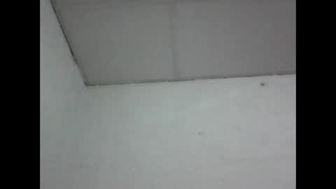 R online show from May 1, 2026, 4:39 am