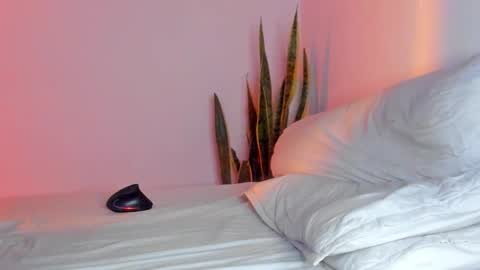 -  A N D E R online show from November 9, 2025, 1:59 am