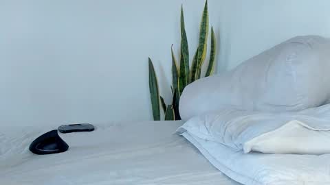 -  A N D E R online show from November 9, 2025, 2:04 pm