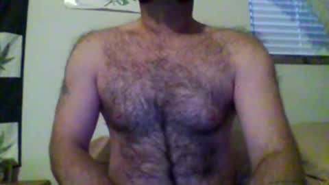 faceforyourbutt online show from December 2, 2025, 2:56 pm