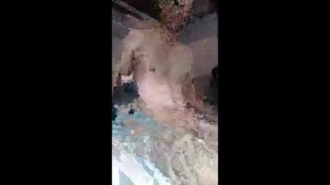 faloshows online show from June 9, 2026, 1:39 am