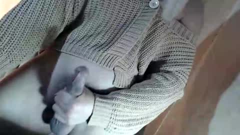 Snapshot of fantasticcock69_daniella chatting on June 9, 2026, 12:17 pm DANIELLA - DONT FORGET TO GIVE ME A THUMBSU UP online show from June 9, 2026, 12:17 pm